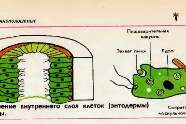 Впн чтобы зайти на кракен