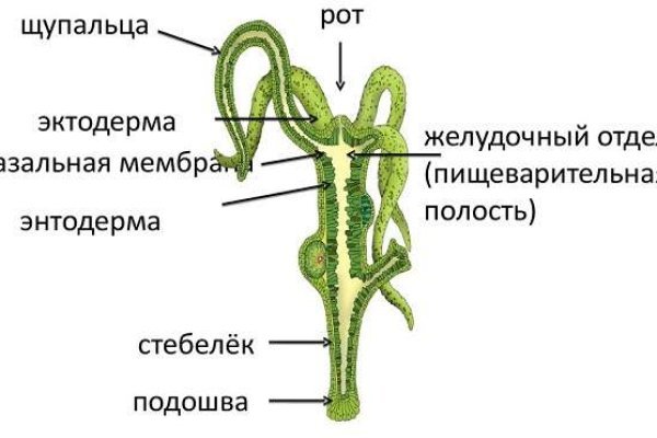 Дарк маркет это